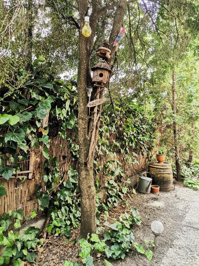 Flat In Historic Villa With Your Own Private Garden, Near City Park Budapest Ngoại thất bức ảnh